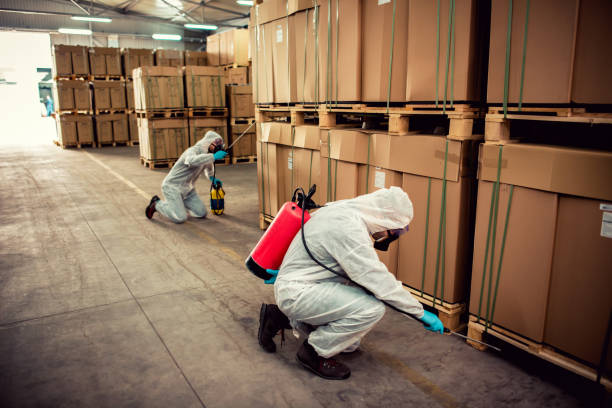 Best Pest Control for Businesses  in Mesquite, TX