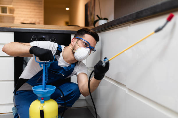 Best Pest Removal Services  in Mesquite, TX