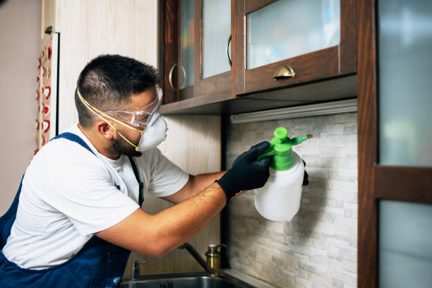 Best Best Pest Control Companies  in Mesquite, TX