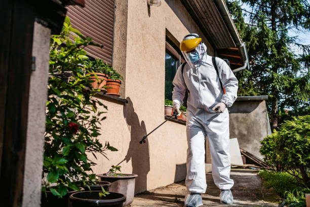 Best Bed Bug Extermination  in Mesquite, TX