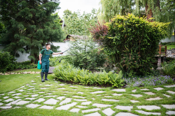 Best Commercial Pest Control Services  in Mesquite, TX