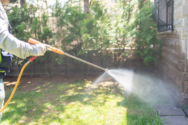 Best Cockroach Control Services  in Mesquite, TX