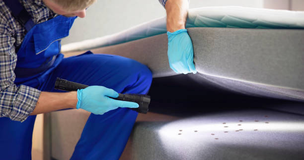 Best Insect Control  in Mesquite, TX
