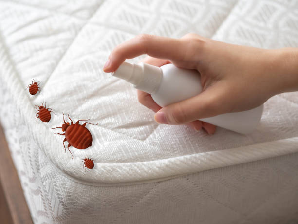 Best Pest Control Near Me  in Mesquite, TX
